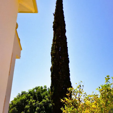 Mavi Kiyi Ξενοδοχείο με διαμερίσματα Κας